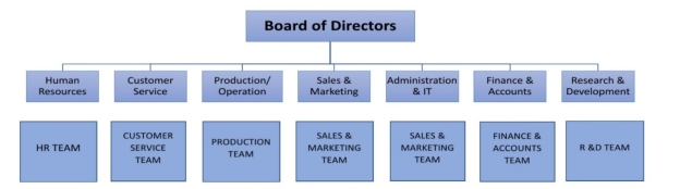 different-types-of-hierarchical-organisational-structure